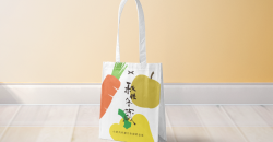 Custom shopping bags, why have been sought after by businesses