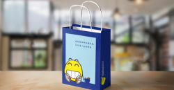 What requirements do enterprises have for customized gift bags