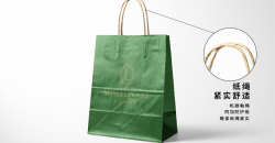 Kraft paper bag factory custom design case