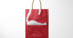 Kraft paper bag custom company design printing case