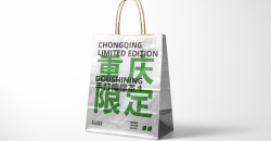 Factory kraft paper bag design custom case