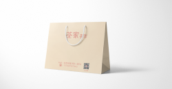 Paper Shopping Bag Factory Design Printing Case