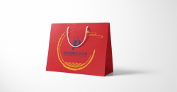 Making environmental protection shopping bag company design printing case