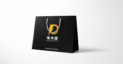 Decorative gift bag manufacturer design printing case