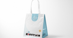 Large gift bag manufacturer design printing case