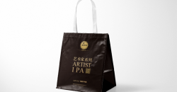 Paper gift bag wholesale custom printing design case