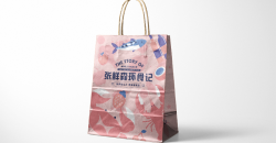 Personalized takeaway packing bag factory design printing case