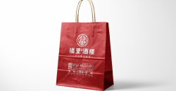 Take-out packing bag design custom case