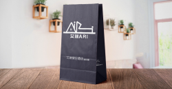 What are the design points of disposable packed lunch take-out bags?