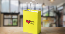 Diversified development of shopping handbags: practical, environmental protection and beauty in one