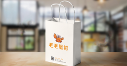 Print Advertising on Shopping Tote Bags: A New Way of Brand Marketing
