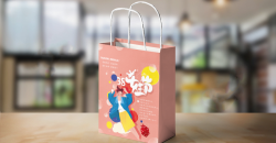 Innovation and Reform of Printing Technology in Shopping Handbags