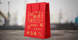 Non-woven tote bag, shopping small artifact, more environmentally friendly and more convenient
