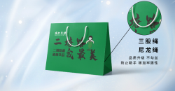 Shopping bag storage