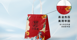 Non-woven gift bags