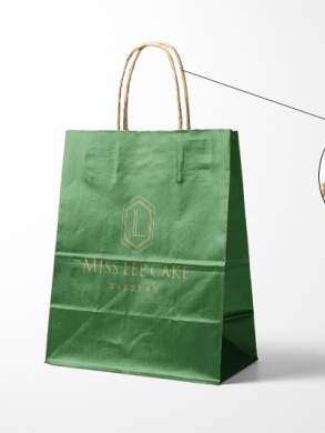 Kraft paper bag factory custom design case