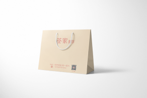 Paper Shopping Bag Factory Design Printing Case