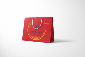 Making environmental protection shopping bag company design printing case