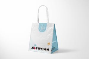 Large gift bag manufacturer design printing case