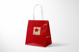 Paper Gift Bag Design Printing Product Features