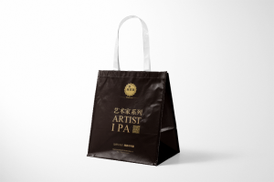 Paper gift bag wholesale custom printing design case