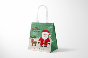 Making gift bag factory design printing case