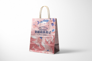 Personalized takeaway packing bag factory design printing case