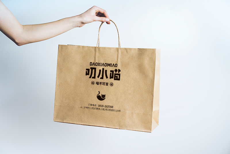 Design Kraft Paper Bags 