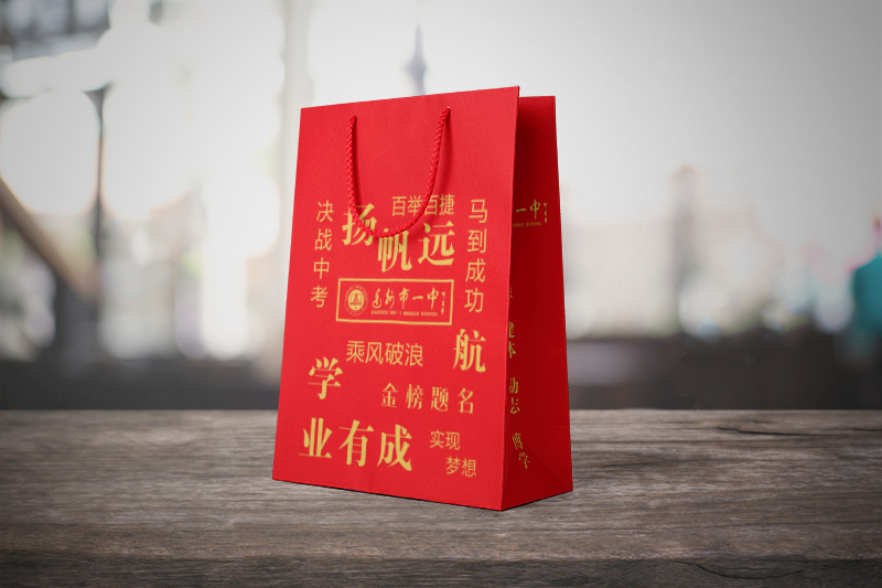 Ashtray carrying bag